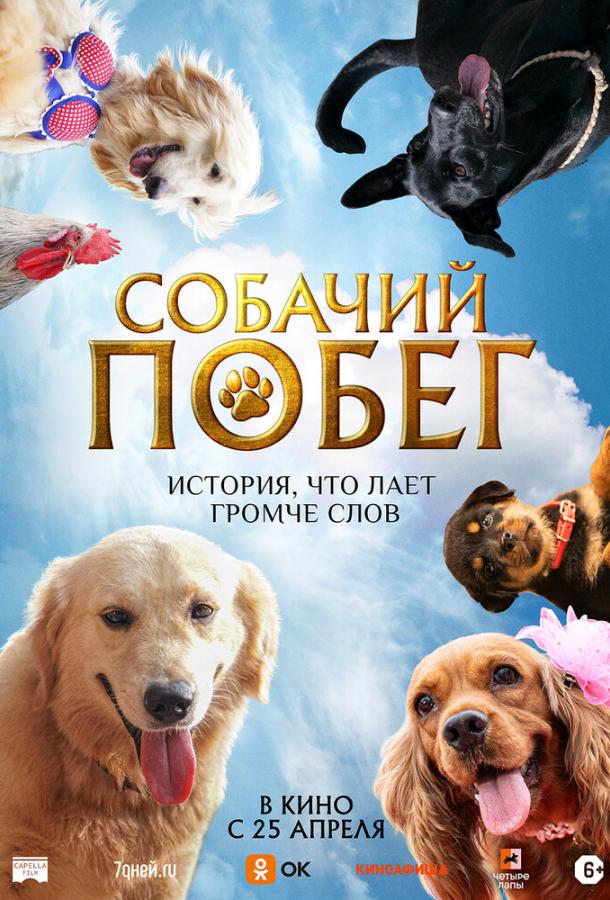 Фильм Собачий побег (2023) смотреть онлайн бесплатно в FHD
